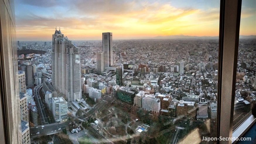 Vistas del barrio de Shinjuku desde el mirador del Edificio del Gobierno Metropolitano de Tokio (mal llamado Ayuntamiento)