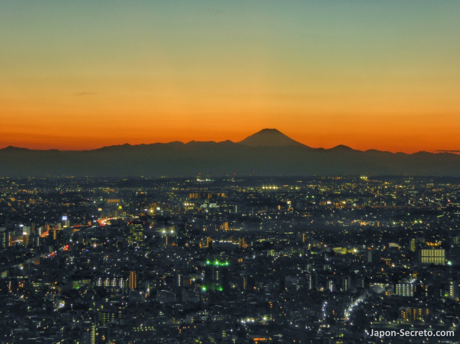 Vistas del Monte Fuji desde el mirador del Edificio del Gobierno Metropolitano (mal llamado Ayuntamiento)