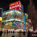 Grandes carteles luminosos en el distrito de Kabukicho (Shinjuku, Tokio)