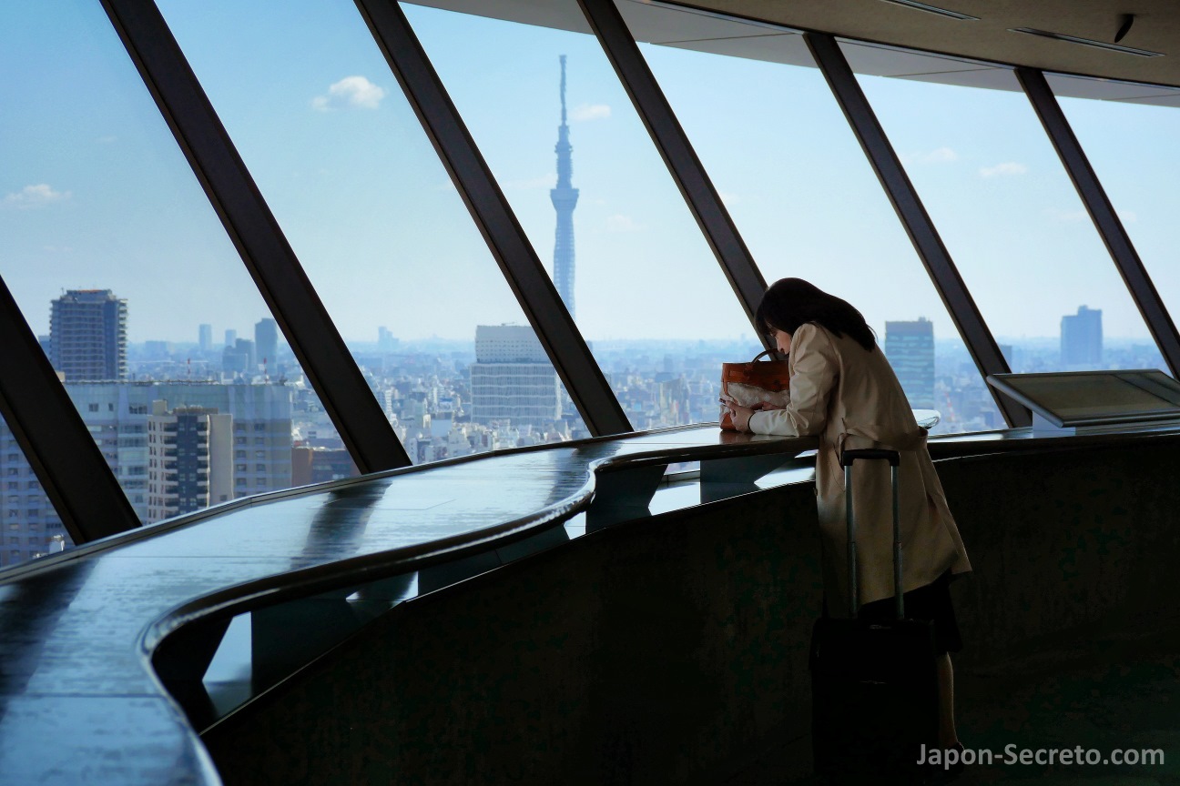 Vista de la torre Tokyo Skytree desde el mirador del Bunkyo Civic Center (Tokio)