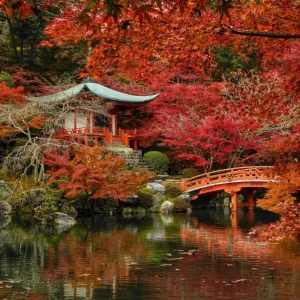Japón secreto. Japón oculto. Los rincones desconocidos de Japón.