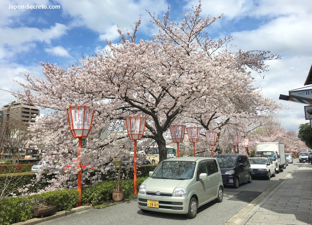 Requisitos para viajar a Japón: carnet de conducir