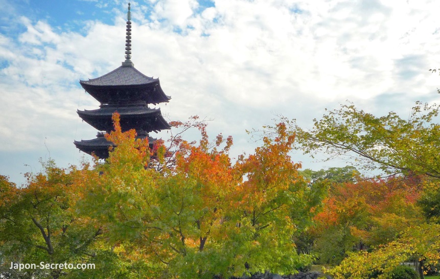 Pagoda del templo Toji (Kioto) en otoño