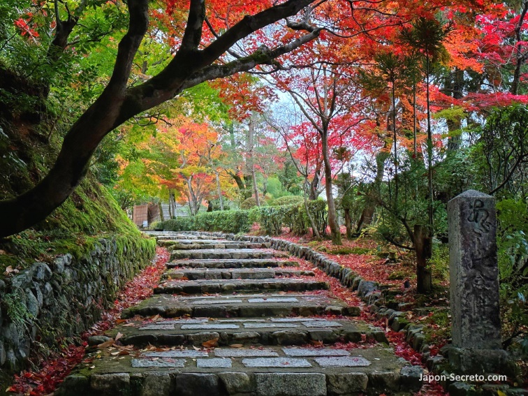 Colores del otoño en Saga Toriimoto (Arashiyama, Kioto): sendero hacia el templo Adashino Nenbutsuji