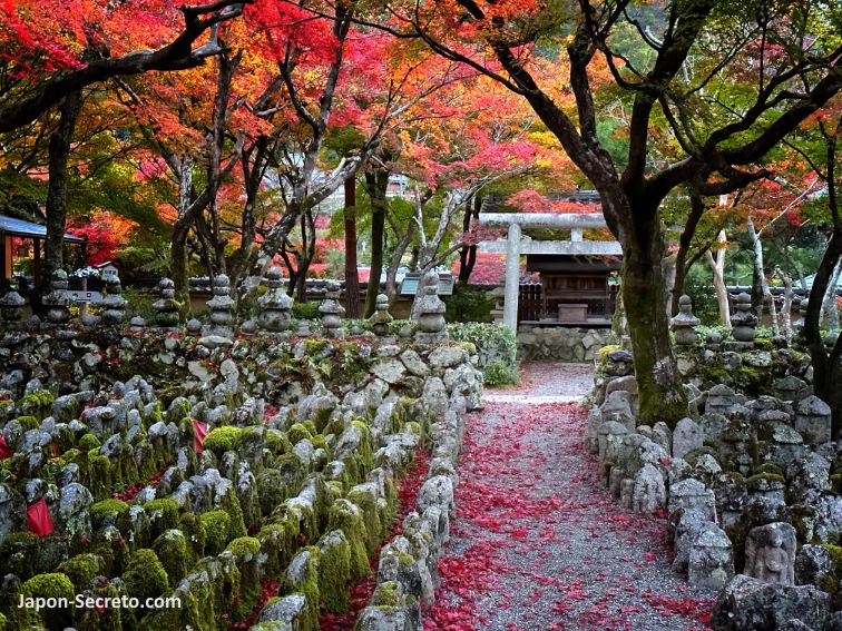 Colores del otoño en el templo Adashino Nenbutsuji en Saga Toriimoto (Kioto)
