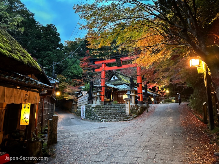 Colores del otoño en Saga Toriimoto (Kioto)