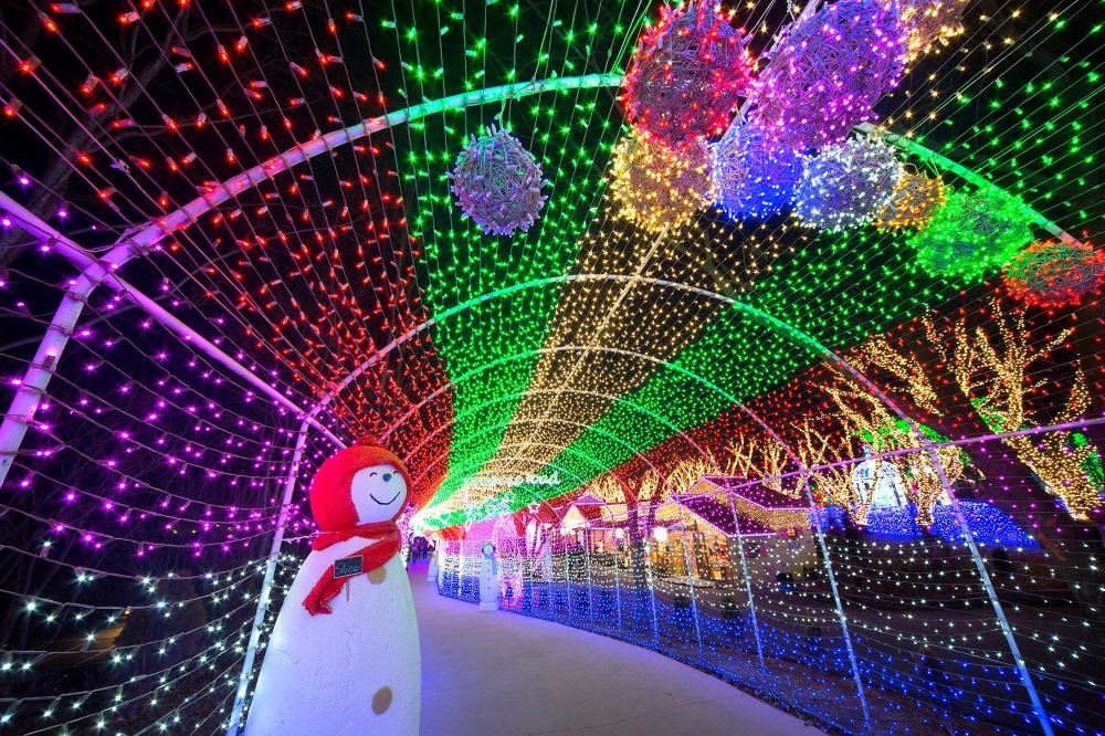 Año Nuevo en Tokio: Iluminación de invierno en navidad en Yomiuriland