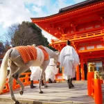 Santuario Kamigamo de Kioto durante el ritual Hakuba Soran Shinji