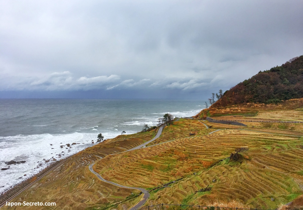 Las famosas terrazas de arrozales de Senmaida Pocket Park (千枚田ポケットパーク) en la península de Noto (Ishikawa)