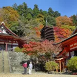Santuario Tanzan (Sakurai, prefectura de Nara). Perfecto para el momiji