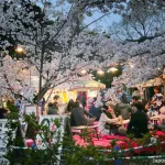 Yozakura o hanami nocturno en el parque Maruyama en Higashiyama, Kioto
