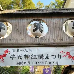Festival de ciruelos en flor Kōbai Matsuri en el santuario Ushi-Tenjin Kitano de Tokio en febrero
