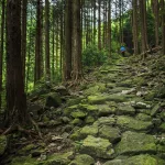 Peregrinación Kumano Kodo, senderismo en Japón