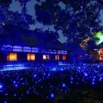 Iluminación nocturna del templo Shōren-in Light-up (青蓮院ライトアップ) en primavera, otoño, etc