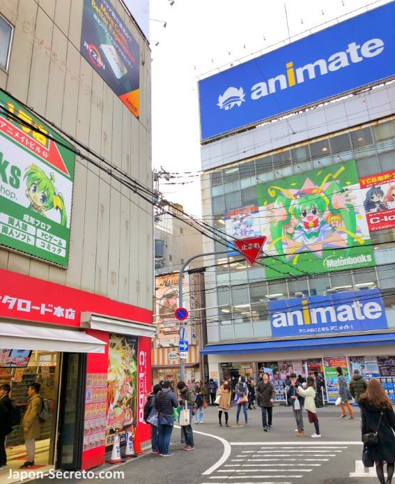 Tienda Animate en Den Den Town, el barrio de la electrónica de Osaka (distrito de Nipponbashi)