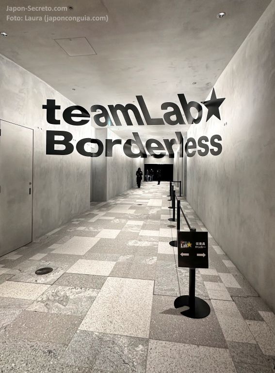 Entrada al museo TeamLab Borderless de arte digital de Tokio