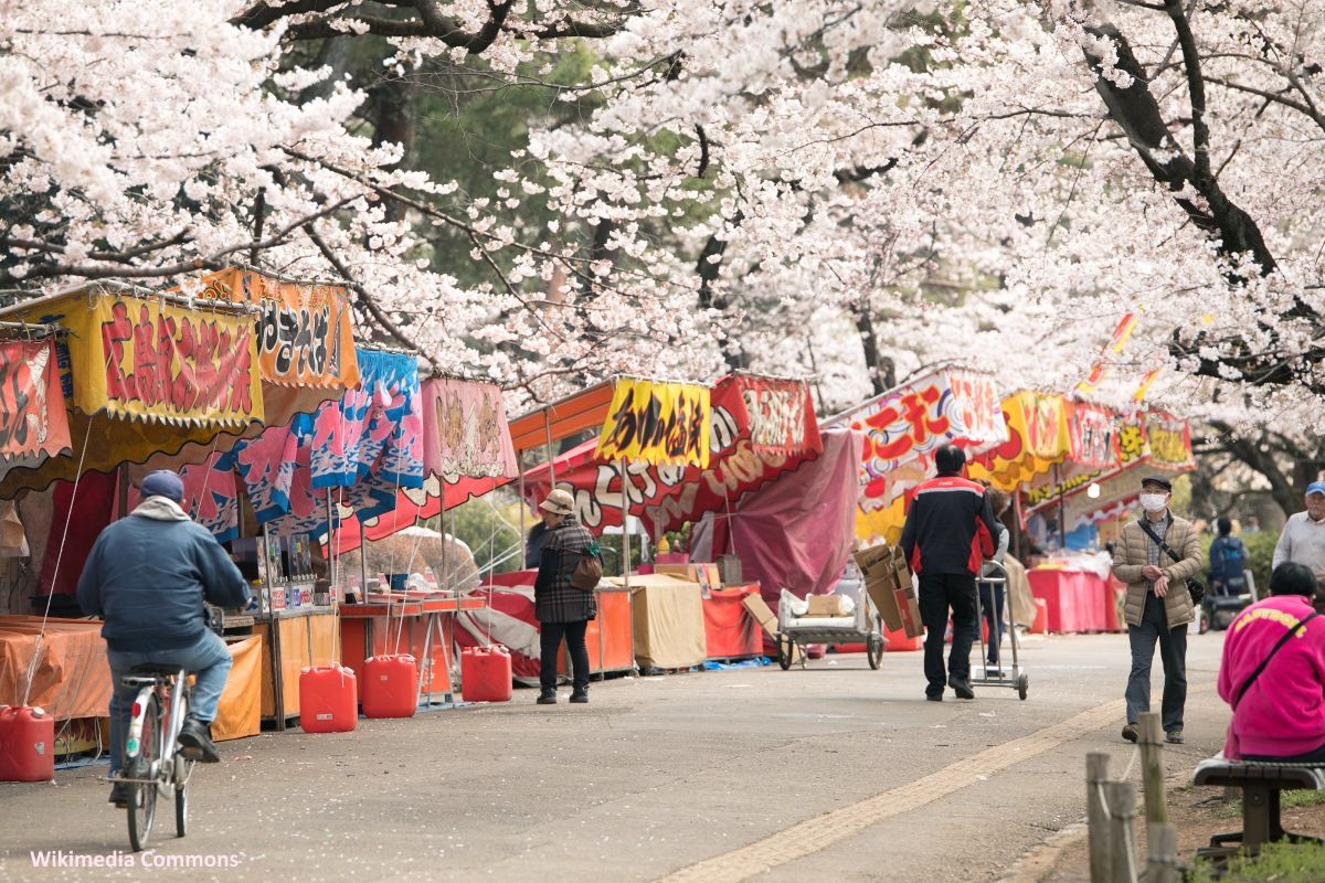 Puestos de comida (yatai) en el parque Omiya de Saitama durante el florecimiento de los cerezos sakura