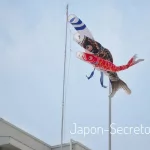Mayo en Japón: el Día de los Niños en Japón (子供の日, Kodomo No Hi), el 5 de mayo. Carpas koinobori, cometas al viento