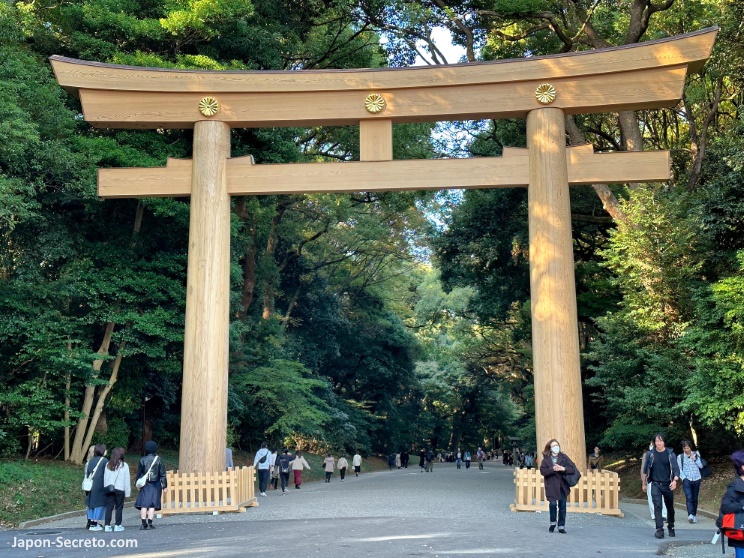 Torii gigante que marca la entrada del santuario Meiji Jingu de Tokio
