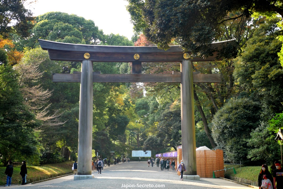Torii gigante en el santuario Meiji Jingu (明治神宮) de Tokio