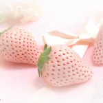 Fresas blancas en Japón (Hatsukoi No Kaori, 初恋の香り) en primavera