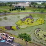 Tanbo art, tapiz gigante creado en un arrozal. Inakadate (Aomori, Tohoku)