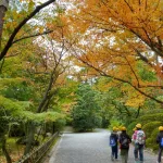 Itinerario o recorrido por el norte de Kioto, colores del otoño en el jardín del templo Ryōanji