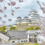 Viajar a Japón: castillo de Himeji (姫路城) durante la floración de cerezos sakura. Un buen viaje desde Kioto, Osaka o Hiroshima