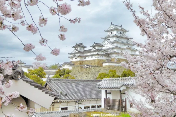 Viajar a Japón: castillo de Himeji (姫路城) durante la floración de cerezos sakura. Un buen viaje desde Kioto, Osaka o Hiroshima