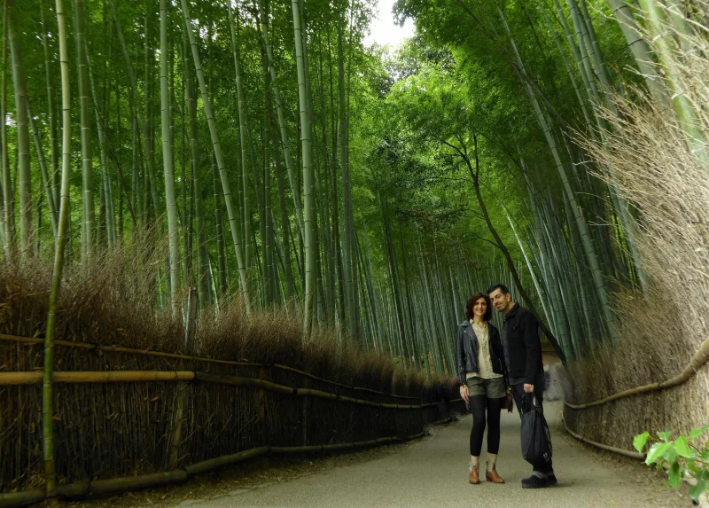 El famoso bosque de bambú de Sagano (Arashiyama, Kioto)