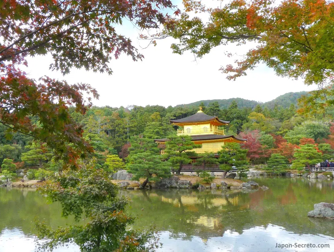 Kinkakuji en Kioto. Momiji en otoño