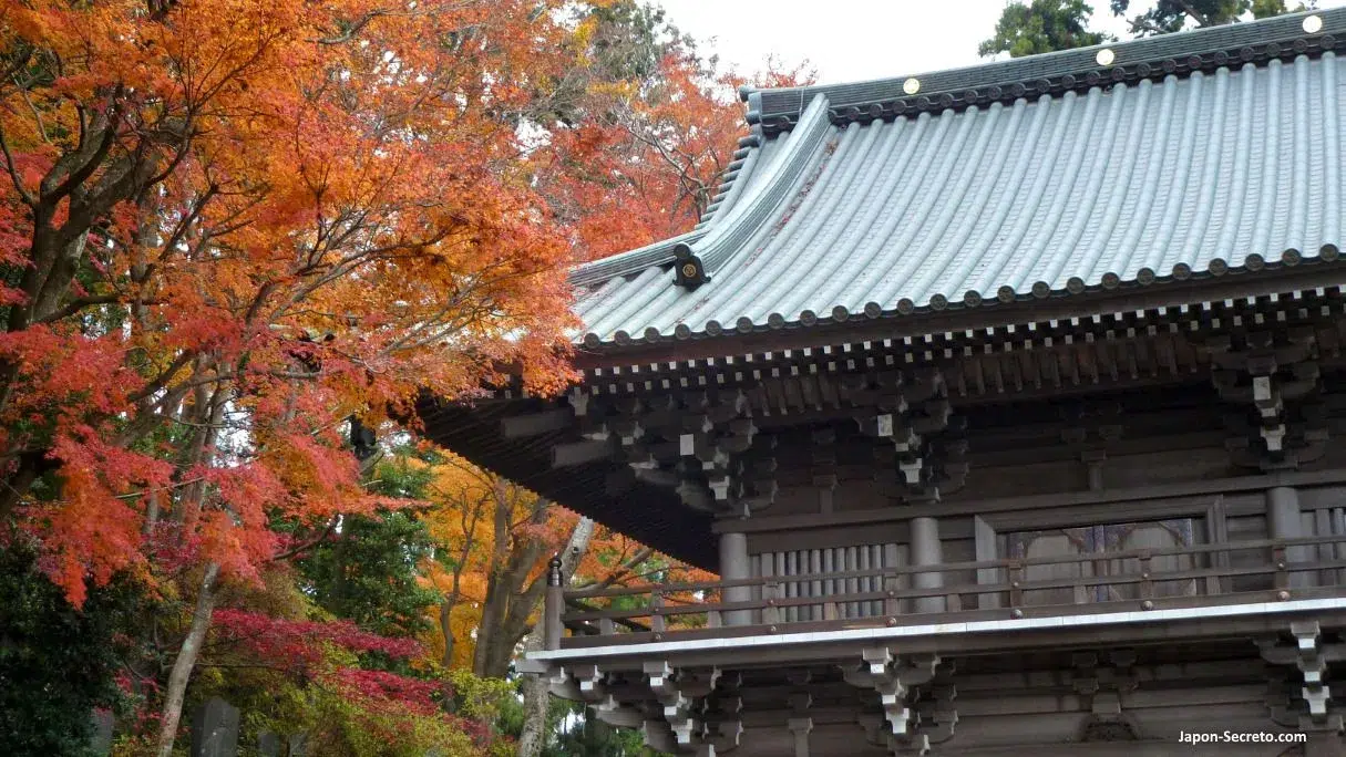 Templo Yakuoin. Monte Takao o Takaosan en Tokio. Otoño. Momiji.