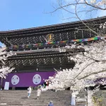 Templo Chionin Kioto. Puerta Sanmon en primavera con sakura flores de cerezo