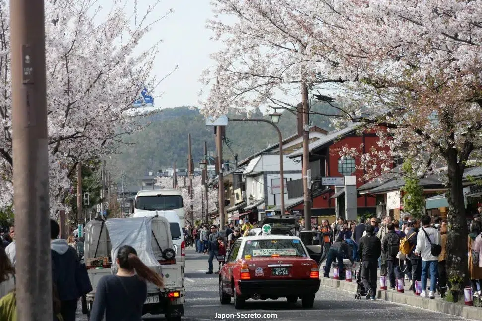 Taxi y cerezos en flor en el barrio de Arashiyama en Kioto