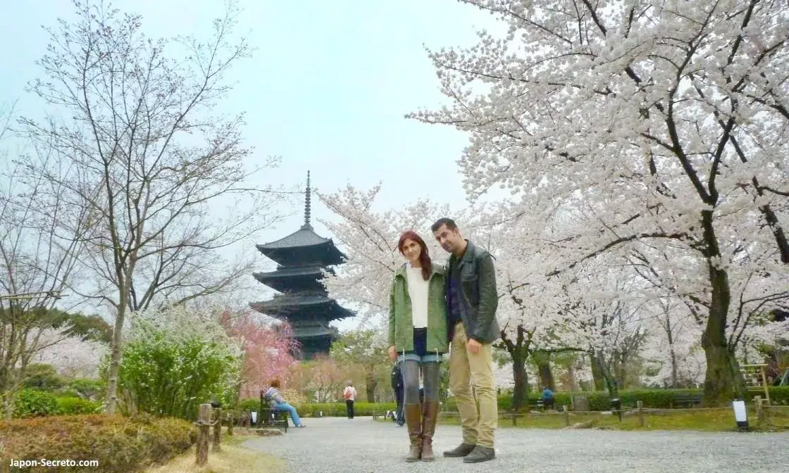 Luna de miel en Japón. Cerezos en flor (sakura) en Japón. Primavera. Cerezos en Kioto. Templo Toji. Pagoda.