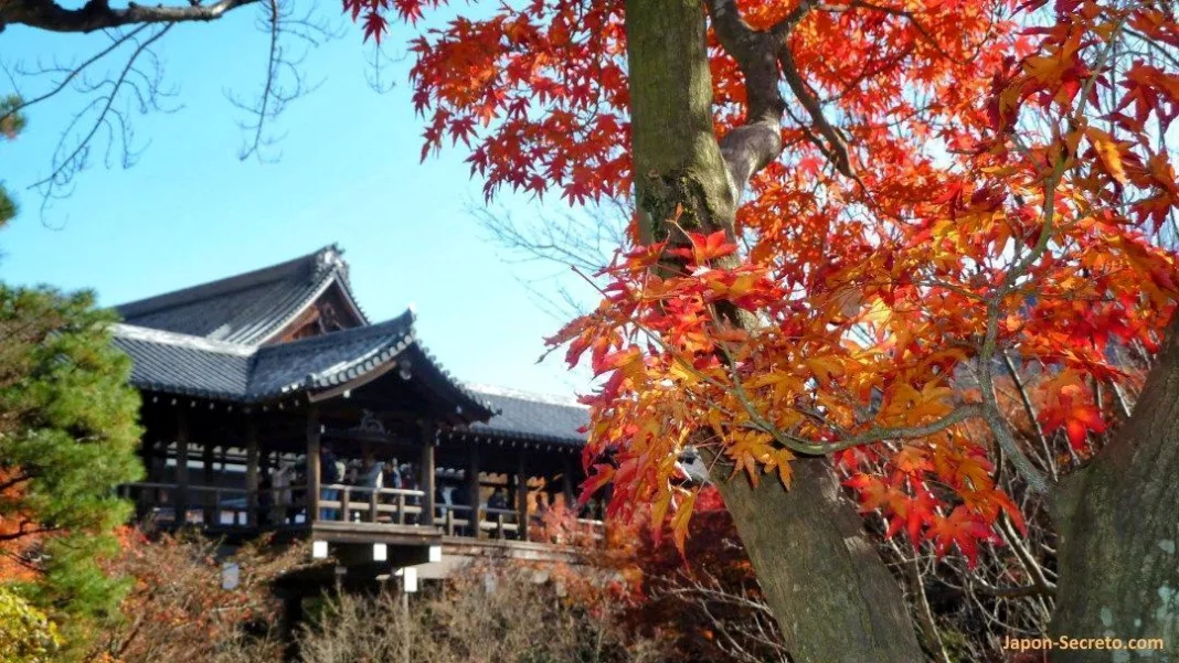 Templo Tōfuku-ji (東福寺) en Kioto durante el momiji (otoño) en Japón