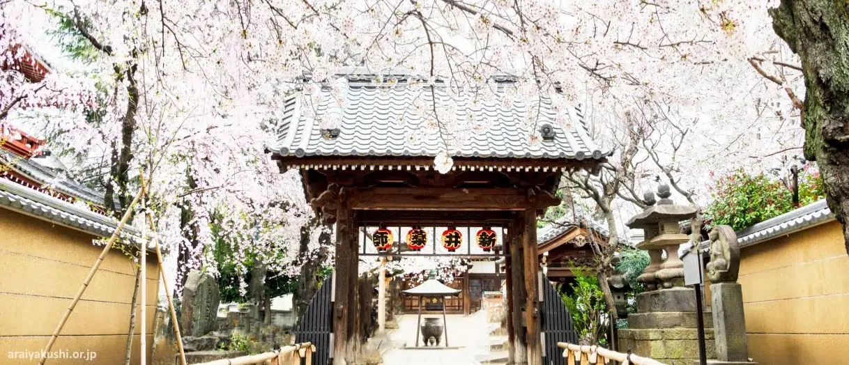 Templo Arai Yakushi Bashioin durante el florecimiento de los cerezos
