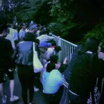 Ver luciérnagas en Japón: mirando luciérnagas en Setagaya (Tokio)