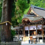 Santuario Omiwa jinja de Sakurai (Nara). Edificio principal o haiden