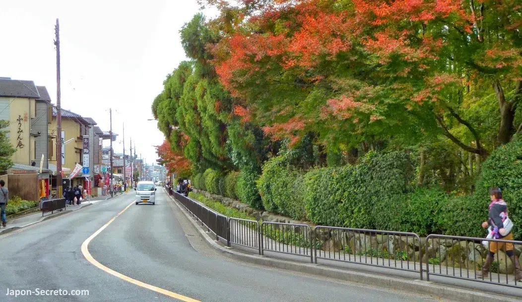 Colores del otoño y arces rojos (momiji) en el camino Kinukake No Michi entre el templo Ryōanji y el Pabellón Dorado (Kinkakuji) en Kioto.