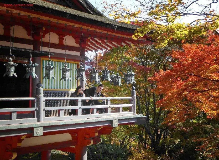 En el balcón de los faroles de bronce del santuario Tanzan ("Tanzanjinja", 談山神社) en Sakurai (prefectura de Nara). Rodeado de una densa y rojiza arboleda en otoño.
