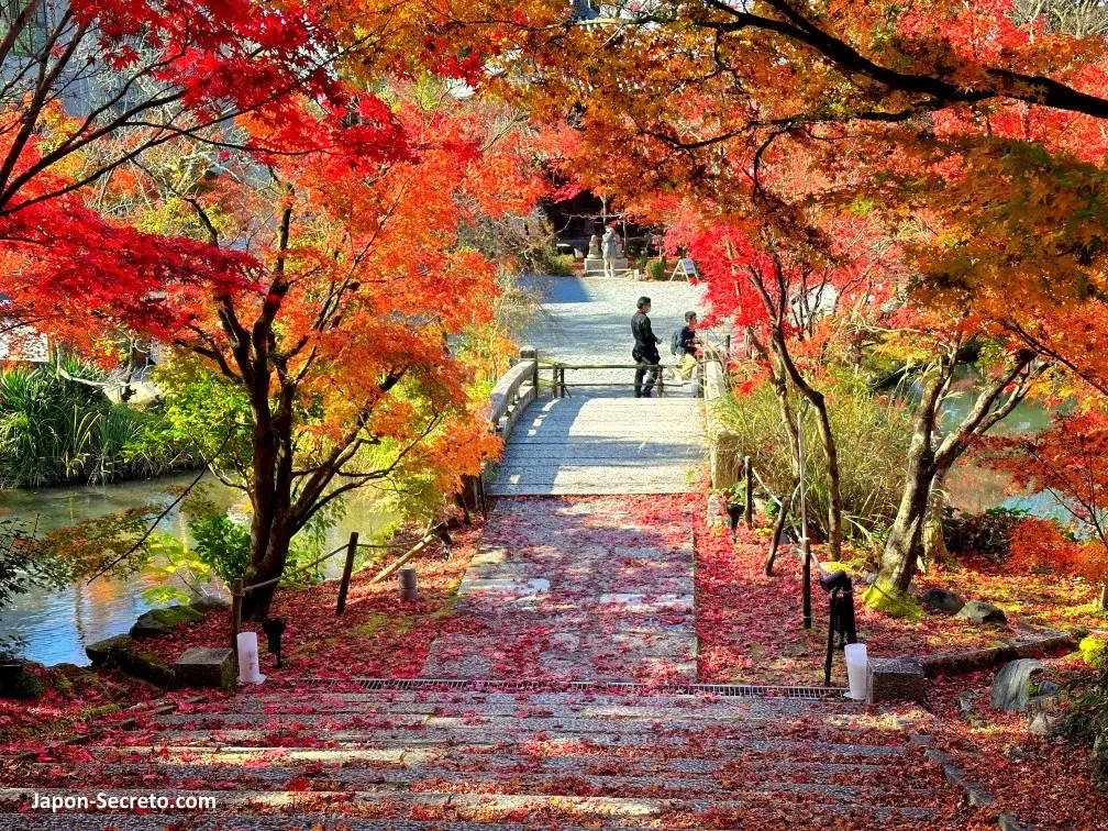 Templo Eikandō (永観堂) en Kioto durante el momiji (otoño) en Japón