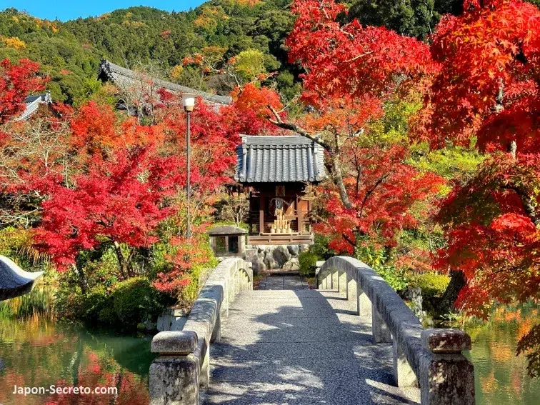 El templo Eikandō Zenrinji (永観堂禅林寺), Eikandō (永観堂) o Eikan-do al sur del barrio de Higashiyama en Kioto momiji otoño