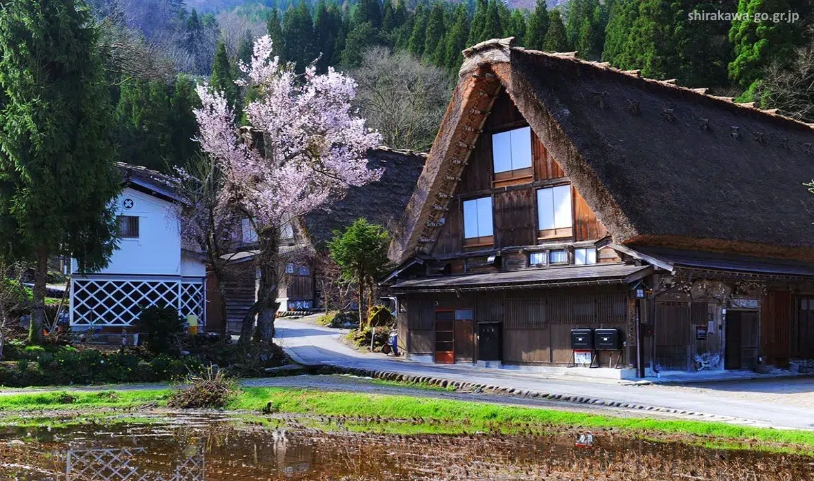 Casa rural tradicional gasshozukuri de la aldea histórica de Ogimachi en Shirakawago (Takayama). Alpes Japoneses
