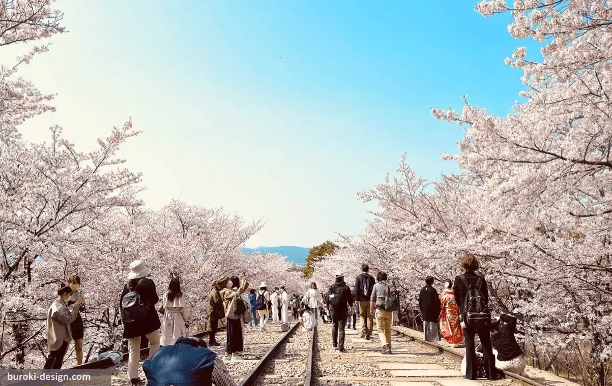 Cuesta Keage Incline en Higashiyama, Kioto, cubierta de cerezos en flor en primavera (abril)