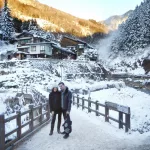 Parque de Macacos de Jigokudani (地獄谷野猿公苑) en Yamanouchi (山ノ内町), prefectura de Nagano. Invierno
