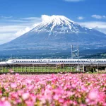 Tren bala (Shinkansen) de la serie N700, monte Fuji al fondo y flores de ciruelo