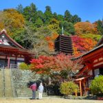 Santuario Tanzan de Sakurai, en la prefectura de Nara, lugar perfecto para el momiji, cómo llegar, entrada, horario, qué ver y hacer, faroles