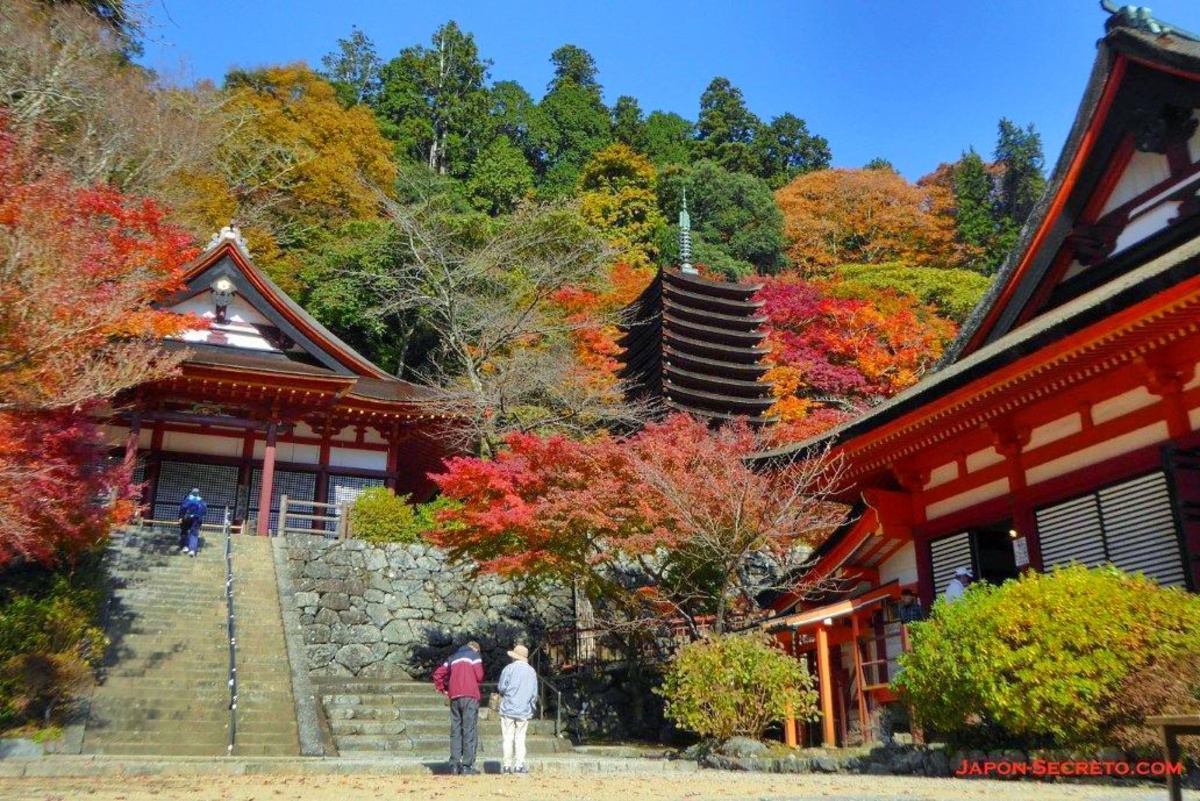 Santuario Tanzan de Sakurai, en la prefectura de Nara, lugar perfecto para el momiji, cómo llegar, entrada, horario, qué ver y hacer, faroles