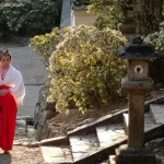Mikosan o doncella del santuario Kasuga Taisha de Nara